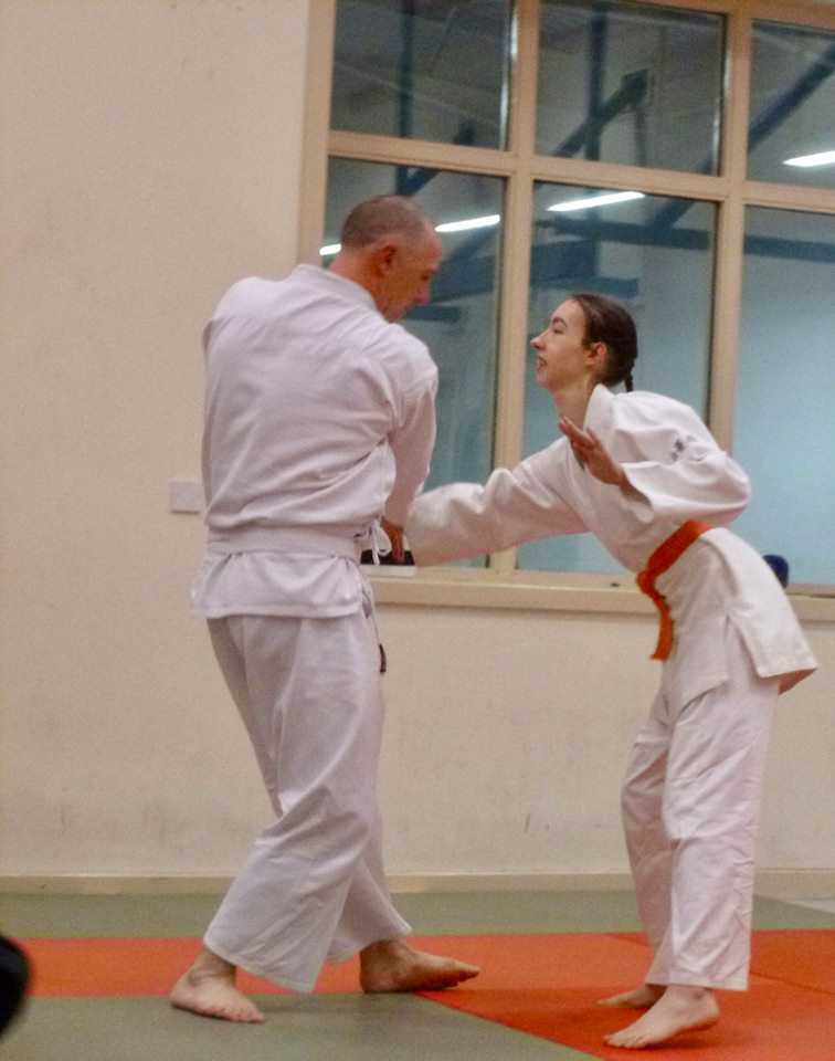 Aikido practice Lee